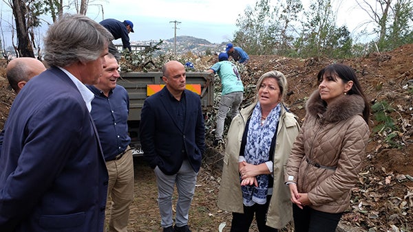 Governo Regional quer limpar mais de 1.400 hectares de floresta