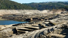 Imagem de Janeiro foi quinto mais quente desde 2000 e o segundo mais seco
