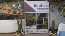 Imagem de Enoteca Itinerante em São Jorge