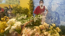 Imagem de Flores assumem relevo na economia do turismo (vídeo)