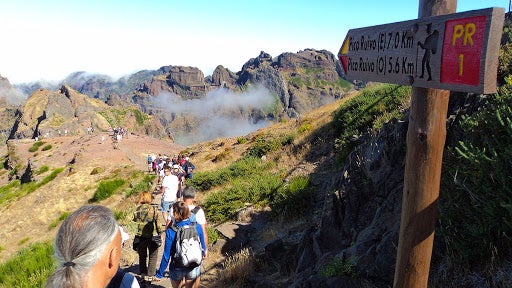 Imagem de Levadas, veredas e estrada encerradas