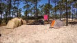Imagem de Covid-19: Parque de campismo em Grândola encerrado após surto com 20 infetados