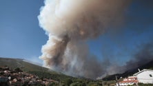 Imagem de Seguradoras estimam pagar indemnizações de 8 milhões
