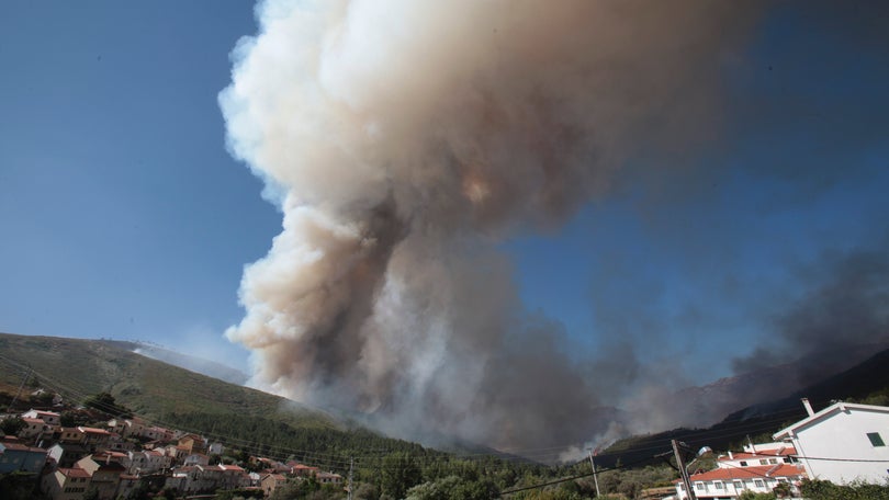 Seguradoras estimam pagar indemnizações de 8 milhões