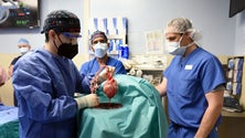 Imagem de Morreu o primeiro homem a receber um transplante de coração de porco