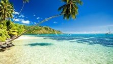 Imagem de Havaianos visitam os Açores em busca das raízes (Vídeo)