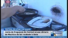 Festival do atum e do gaiado (Vídeo)