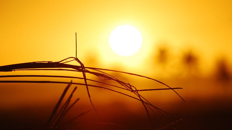 Imagem de Madeira e o Porto Santo sob aviso amarelo para o tempo quente