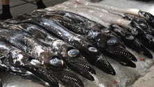 Imagem de Menos carne e peixe descarregado