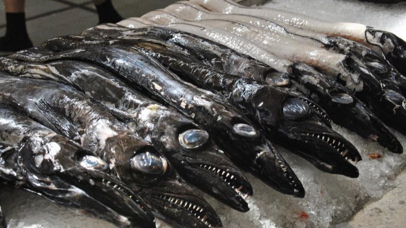 Imagem de Menos carne e peixe descarregado