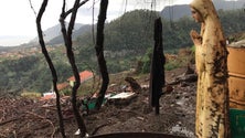 Imagem de Casal do Faial já tem casa (vídeo)