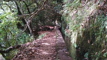 Imagem de Levada do Caldeirão Verde encerrada