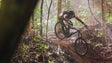 Mountain Bike Madeira Meeting decorre até domingo e traz à Região alguns ciclistas estrangeiros (Vídeo)