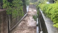 Imagem de Ribeiras com caudais de água que não são de risco (vídeo)