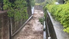 Ribeiras com caudais de água que não são de risco (vídeo)