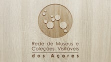 Imagem de Rede de museus e coleções visitáveis inaugurou primeira exposição virtual (Vídeo)