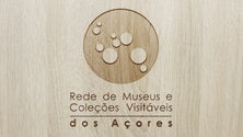 Rede de museus e coleções visitáveis inaugurou primeira exposição virtual (Vídeo)