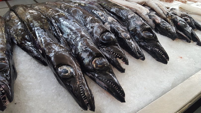 Imagem de Captura de peixe-espada abaixo da quota da UE