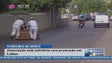 Imagem de Carreiros do Monte vão a Lisboa em novembro promover a Madeira
