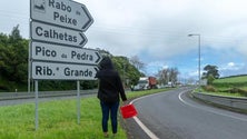 Imagem de Açores ponderam cercas em zonas específicas de Rabo de Peixe