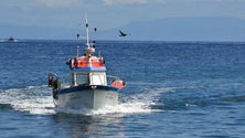 Imagem de Pescadores açorianos pedem mais quotas e isenção de taxas na lota (Vídeo)
