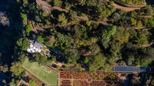 Imagem de Jardim Botânico vai ter nova área de plantas tropicais, uma estufa e um passadiço (áudio)
