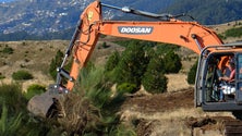 Imagem de Madeira investe 140 mil euros por ano na limpeza de caminhos nas serras (Vídeo)