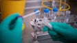 Imagem de Covid-19: INSA vai estudar amostras de doentes com infeção anormalmente longa