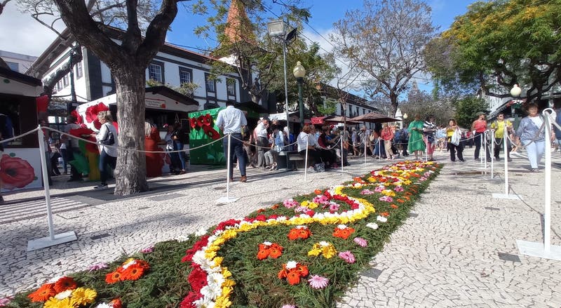 Festa da Flor da Madeira arrancou hoje e estende-se até 29 de maio com «ponto alto» no domingo