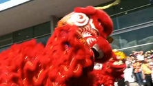 Imagem de Duzentos chineses festejam na Madeira ano novo (vídeo)