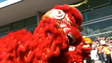 Duzentos chineses festejam na Madeira ano novo (vídeo)