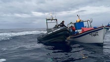 Imagem de Apreendidos 188 quilos de peixe em reserva natural dos Açores