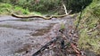 Imagem de Situação em São Roque do Faial normalizada