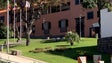 Imagem de Calheta vai apoiar com 700 mil euros (vídeo)