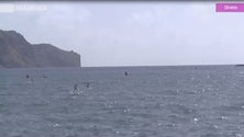 Imagem de Sup Challenge deixou boas indicações e perspetivas de futuro