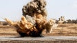 Sete mortos por explosão de mina no leste da Síria