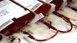 Imagem de A Madeira precisa de mais dadores de sangue (Áudio)