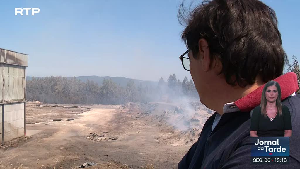 Incêndio de Vouzela queimou 15 mil hectares de floresta