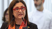 Imagem de Governo exonera presidente do Conselho de Administração e CEO da TAP