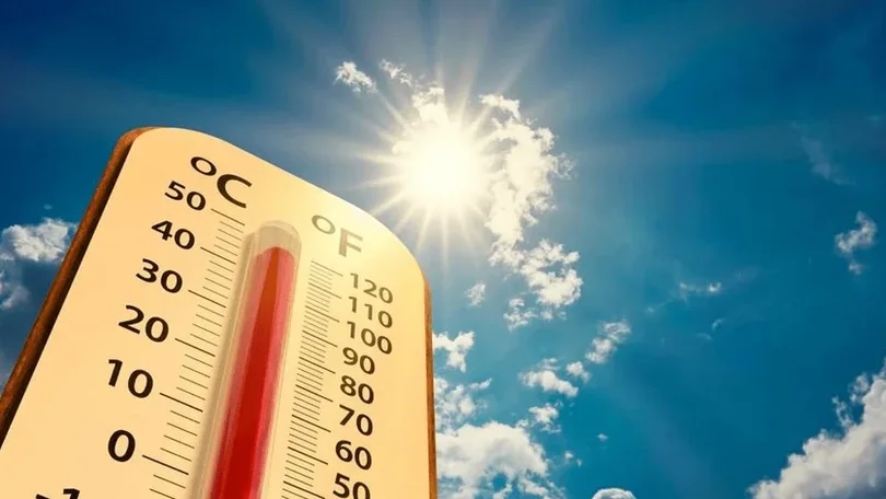 Imagem de Madeira registou valores extremos de temperatura nos últimos dias