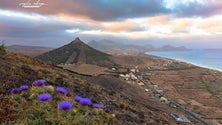 Imagem de Ilha do Porto Santo deverá ser em breve Reserva da Biosfera da UNESCO