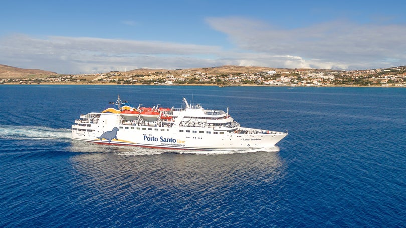 Imagem de Lobo Marinho com viagem extra