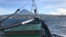 Empresa Barcos do Pico sente-se prejudicada com processo do tribunal de Angra (Vídeos)