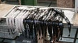 Imagem de União Europeia reduz em 12% a quota do peixe espada preto (Vídeo)