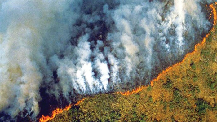 Imagem de Incêndios na Amazónia brasileira batem recorde de 13 anos em junho