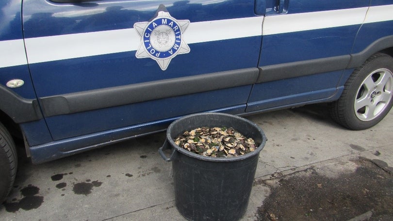 Polícia Marítima apreende 32 kg de lapas na Ponta do Sol
