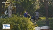 Imagem de Penas de prisão efetiva para padre e freiras acusados de escravizar madeirense (vídeo)
