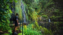 Imagem de Alemã resgatada no Chão da Ribeira
