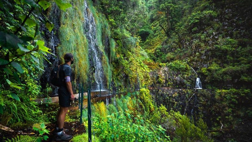 Imagem de Alemã resgatada no Chão da Ribeira