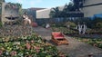Imagem de Comboio do Monte regressa ao Funchal (vídeo)